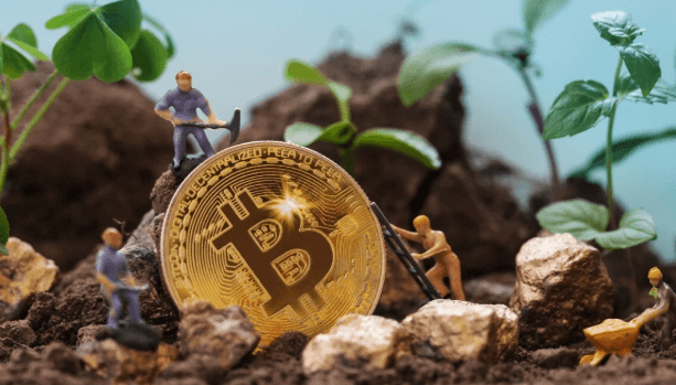 Is Crypto Environmentally Harmful?